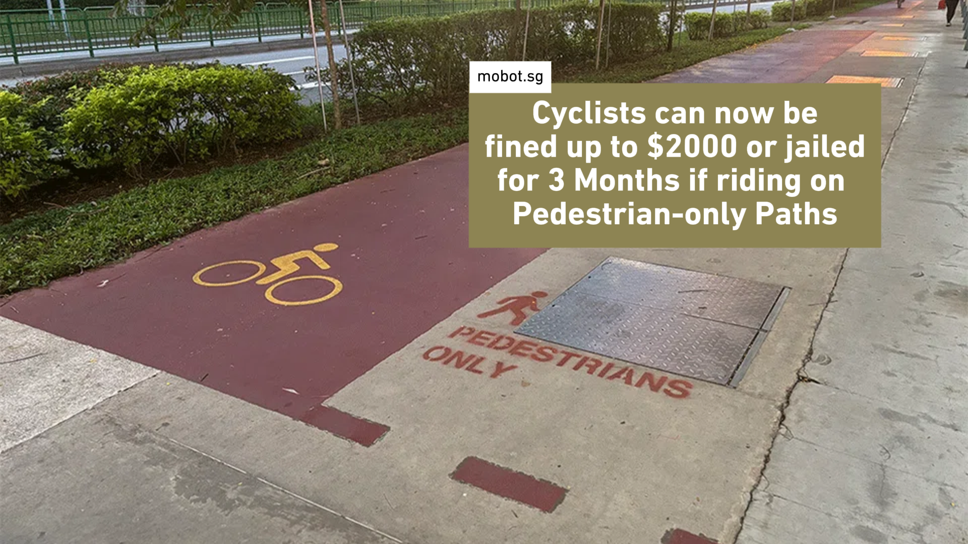 2025 Cycling Path Rule: Cyclists Can Be Fined Up to $2,000 or Jailed for 3 Months